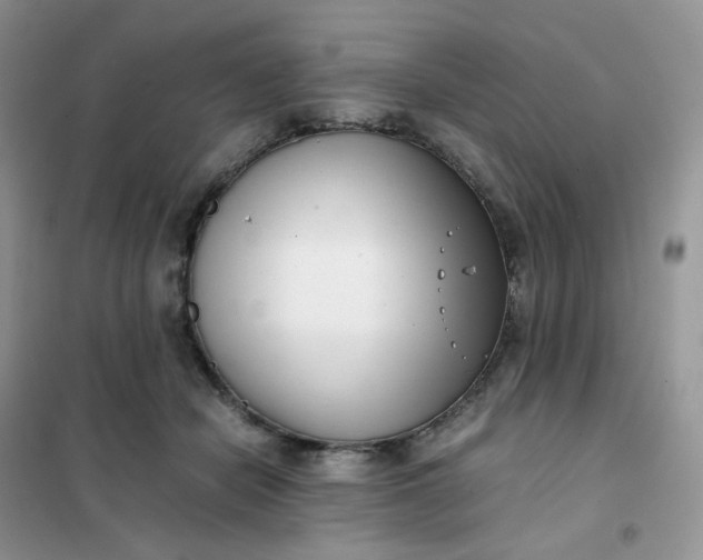 X0000102030462200808011451