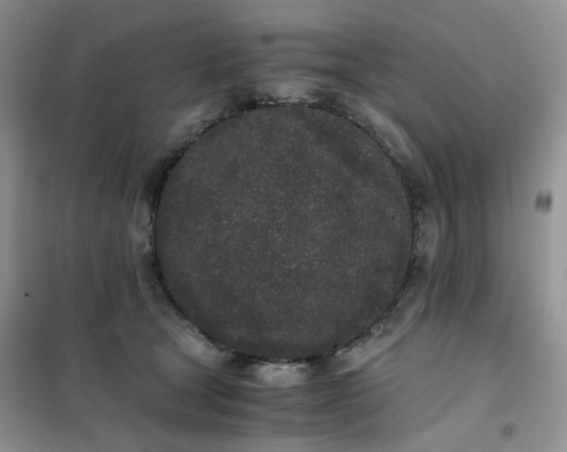 X0000102030465200808011451