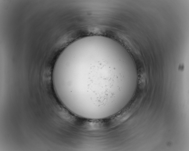 X0000102030466200808011451