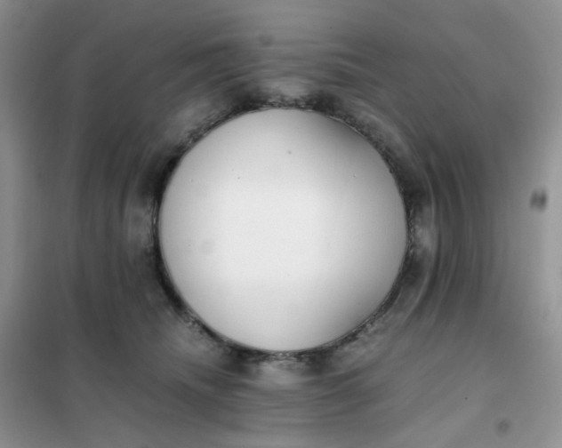 X0000102030468200808011451