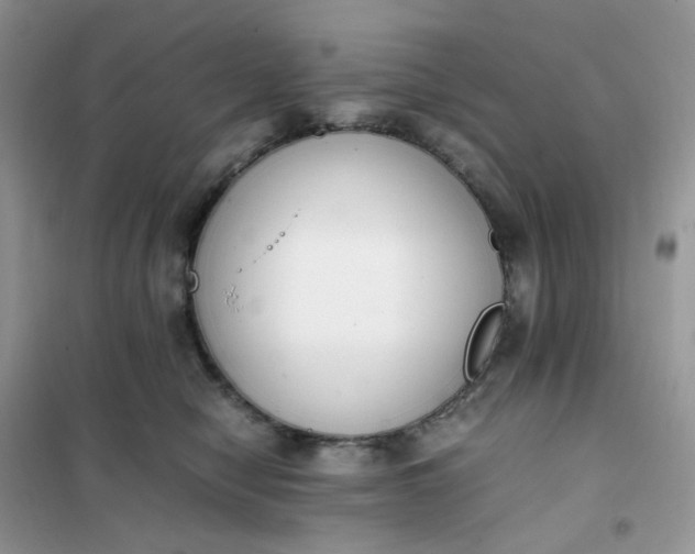 X0000102030470200808011451