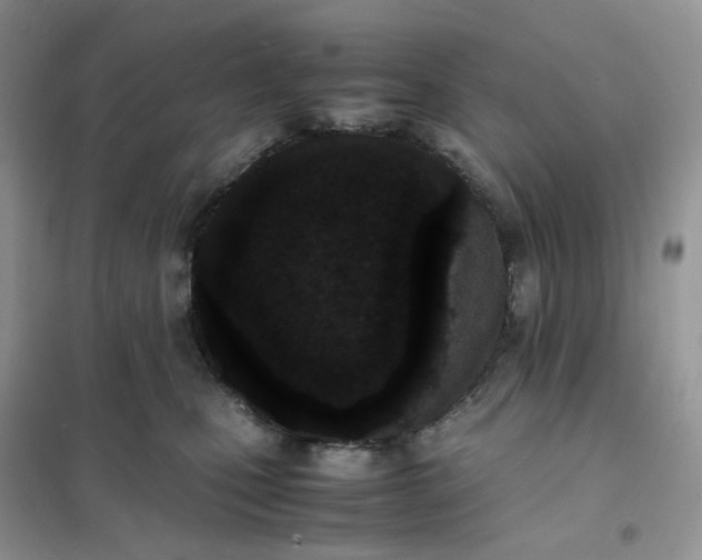 X0000102030471200808011451