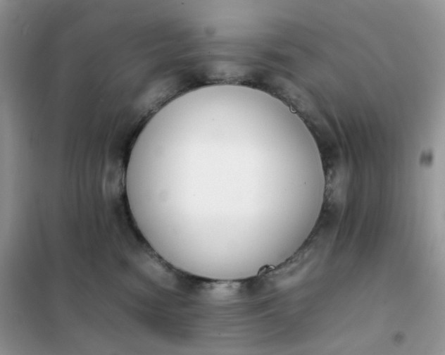 X0000102030474200808011452