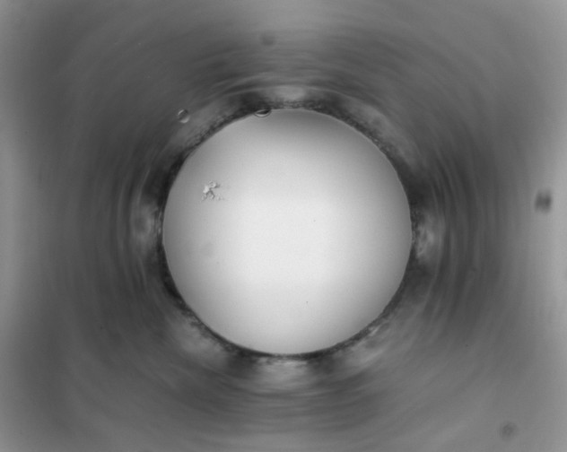 X0000102030476200808011452