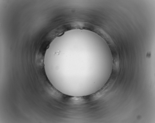 X0000102030477200808011452