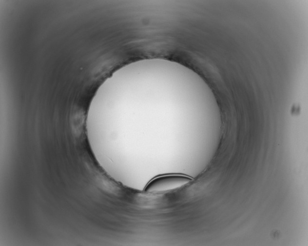 X0000102030480200808011452