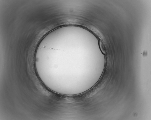 X0000102030481200808011451