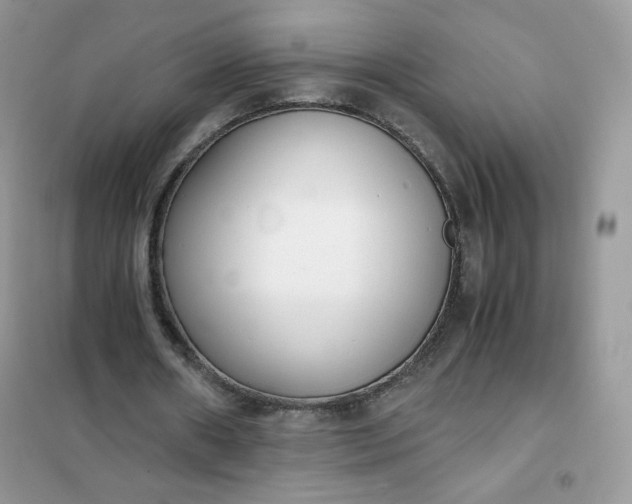 X0000102030482200808011451