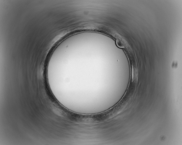 X0000102030483200808011451