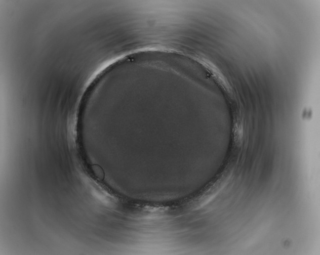 X0000102030484200808011451