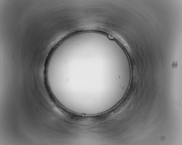 X0000102030485200808011451