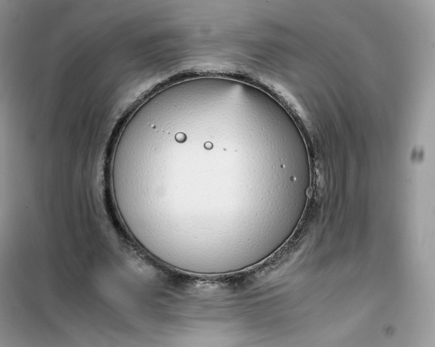 X0000102030487200808011451