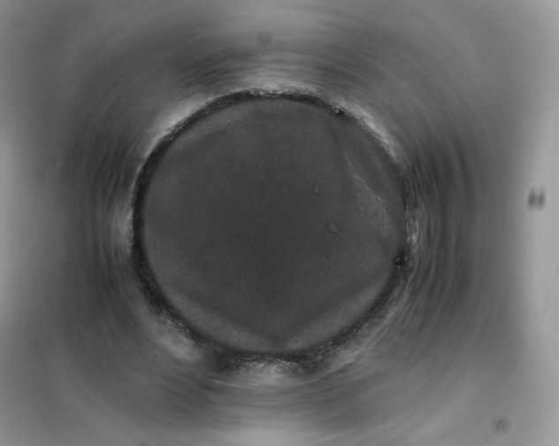 X0000102030488200808011451