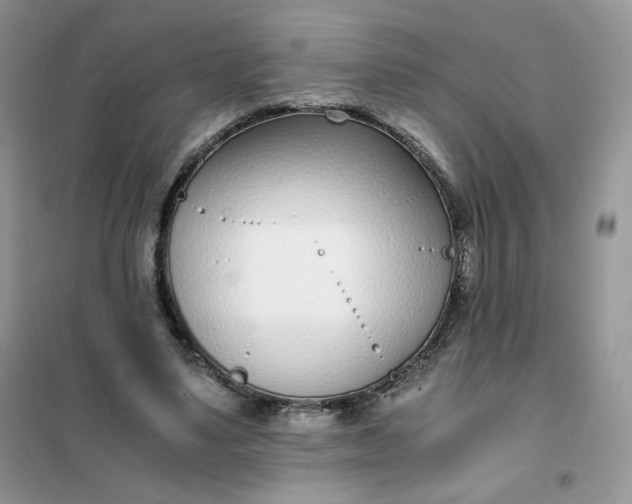 X0000102030491200808011451