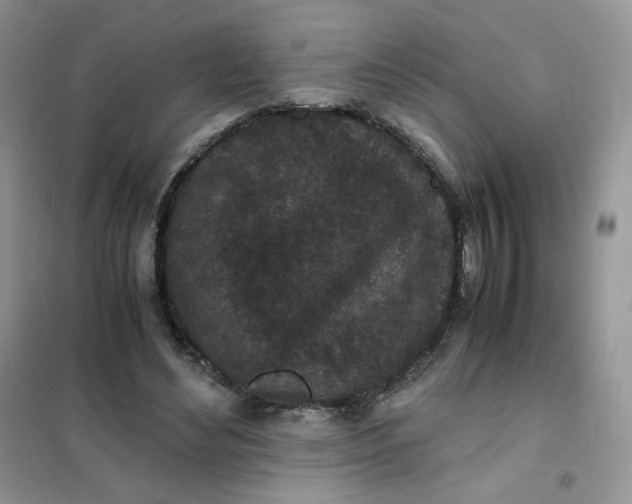 X0000102030492200808011451