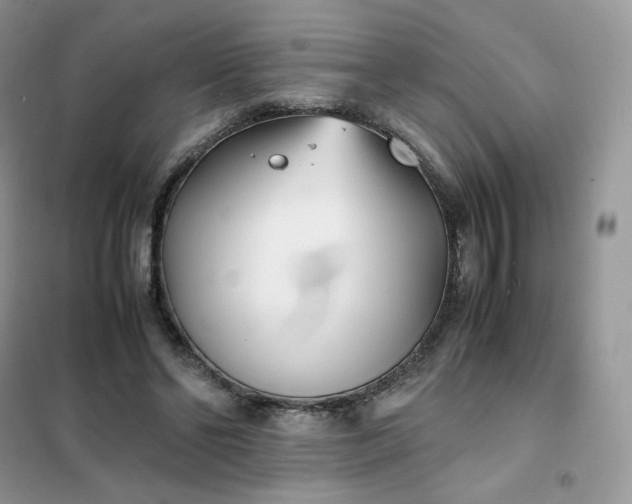 X0000102030494200808011451