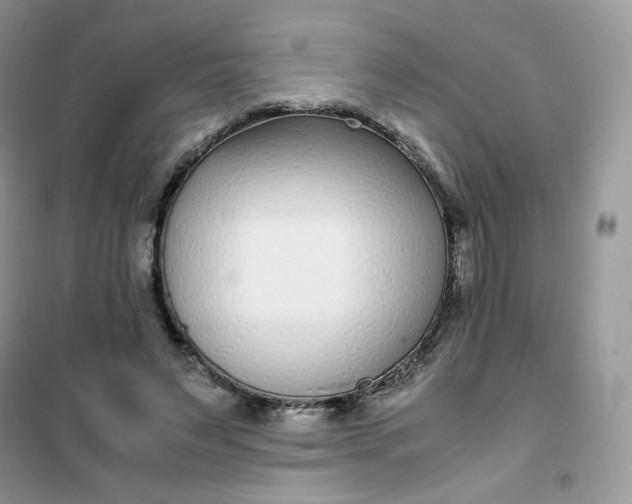 X0000102030495200808011451