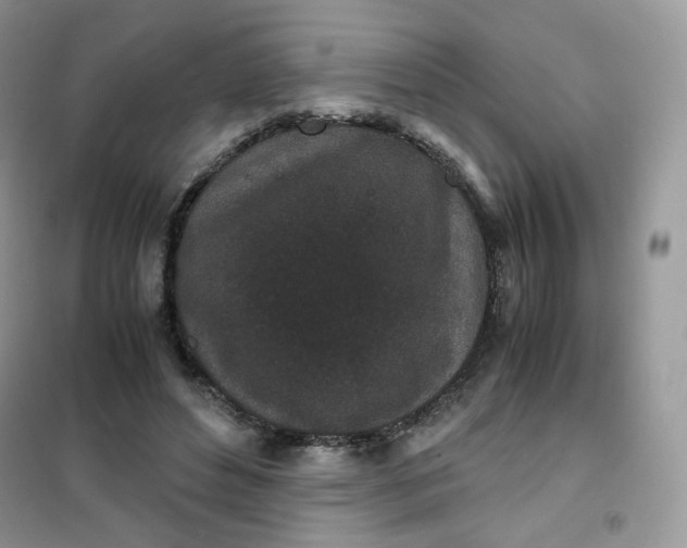 X0000102030496200808011451