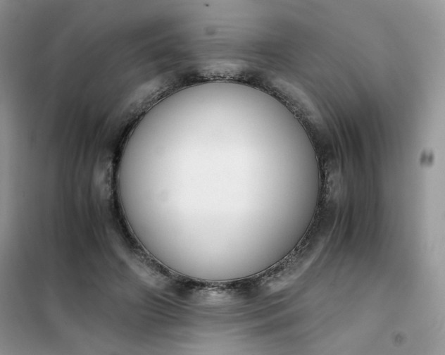 X0000102030498200808011451