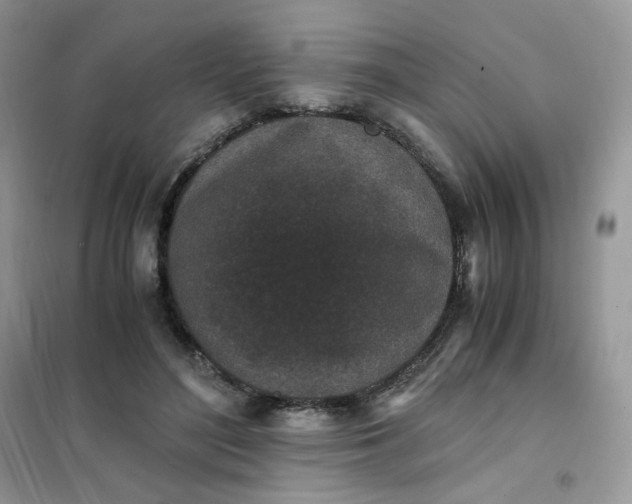 X0000102030500200808011451