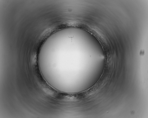 X0000102030502200808011451