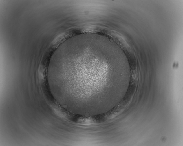 X0000102030503200808011451