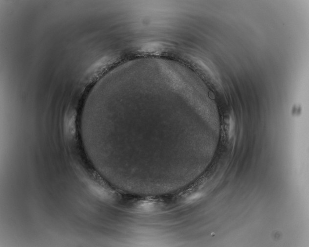 X0000102030504200808011451