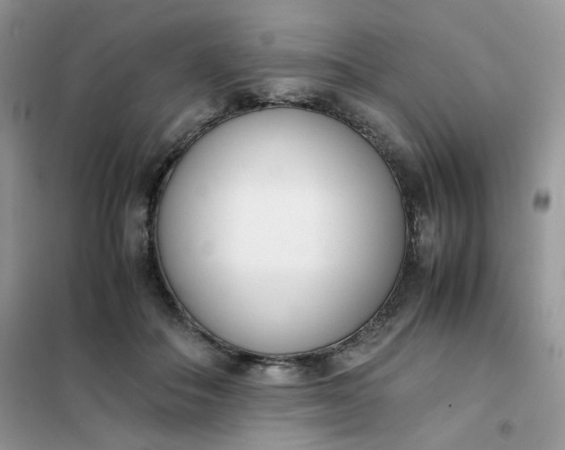 X0000102030506200808011451