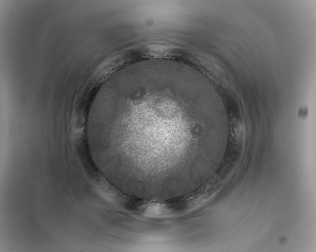 X0000102030507200808011451