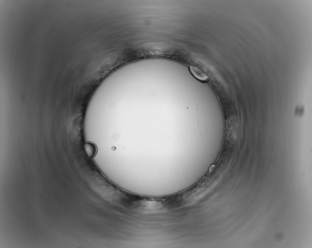 X0000102030509200808011451