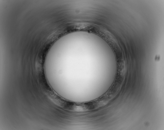 X0000102030510200808011451