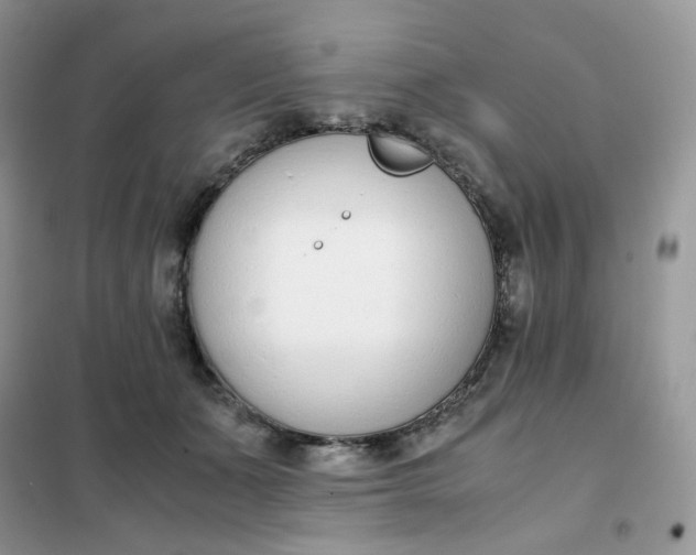 X0000102030511200808011451