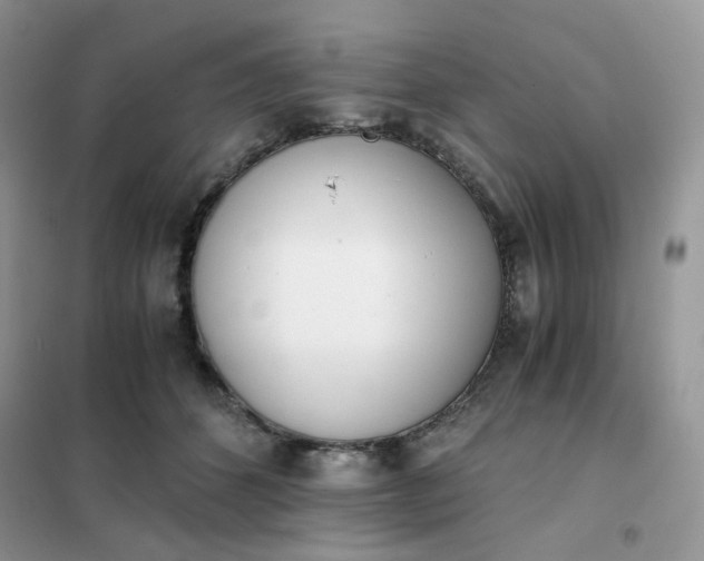 X0000102030512200808011451