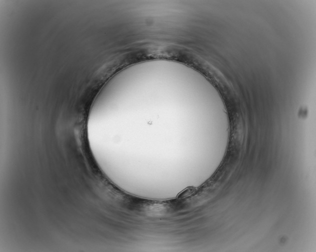 X0000102030513200808011451