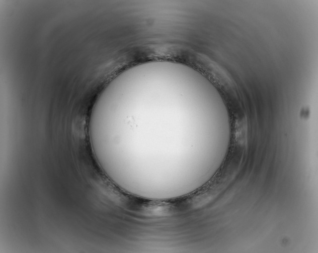 X0000102030514200808011451