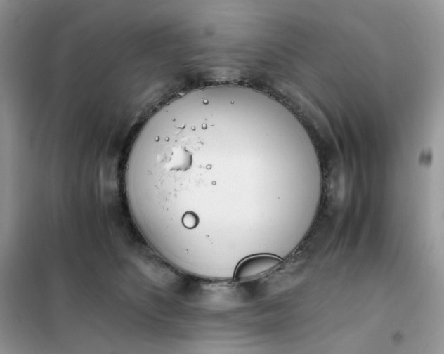 X0000102030516200808011450