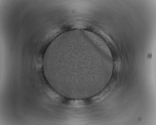 X0000102030517200808011450