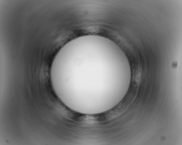 X0000102030518200808011450