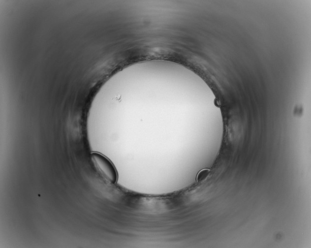 X0000102030520200808011450