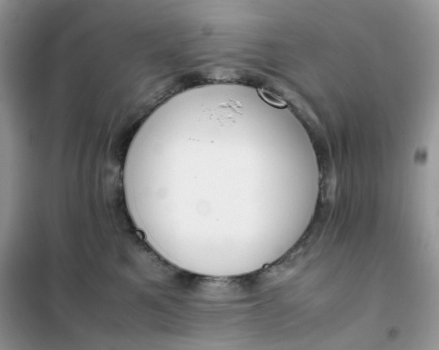 X0000102030521200808011450