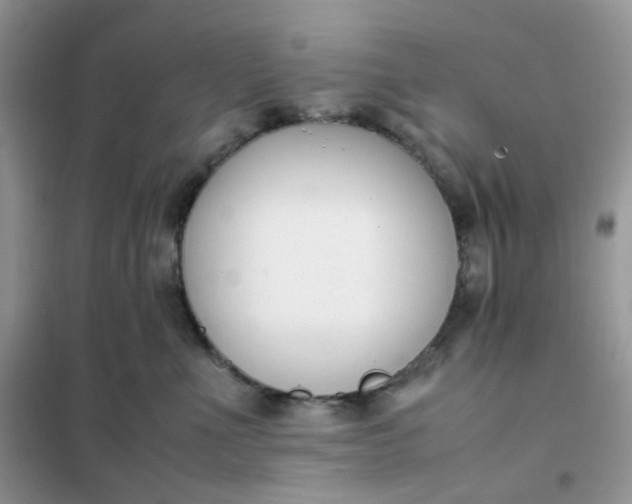 X0000102030523200808011450