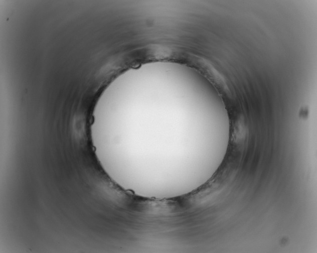 X0000102030524200808011450