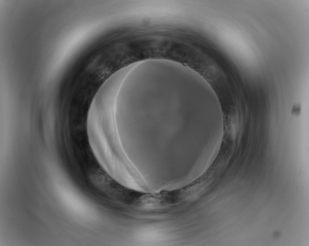 X0000102030526200808011450