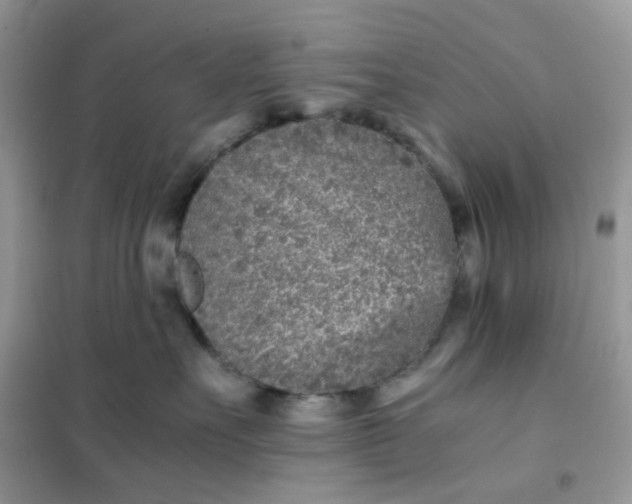 X0000102030527200808011450