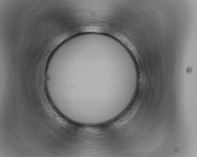 X0000102030529200808011450