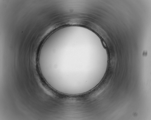 X0000102030530200808011450