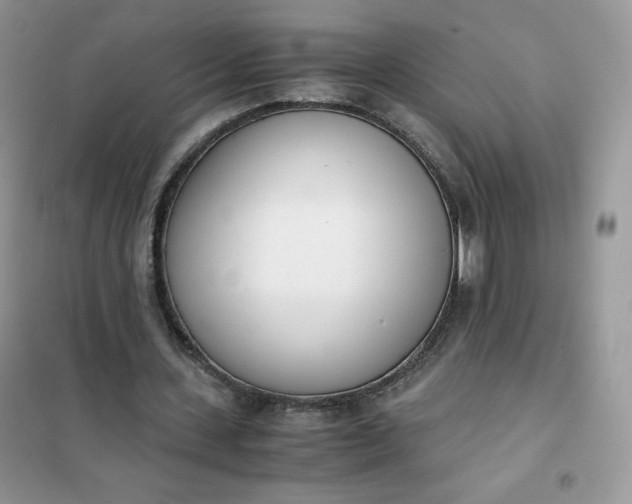 X0000102030531200808011450