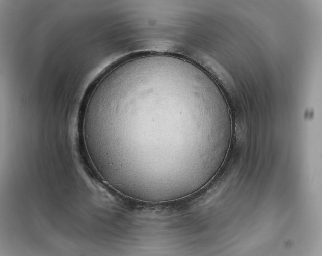 X0000102030532200808011450