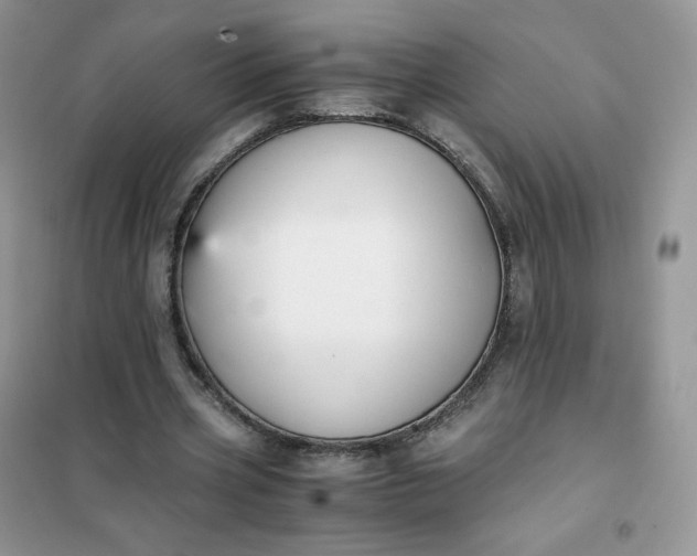 X0000102030533200808011450