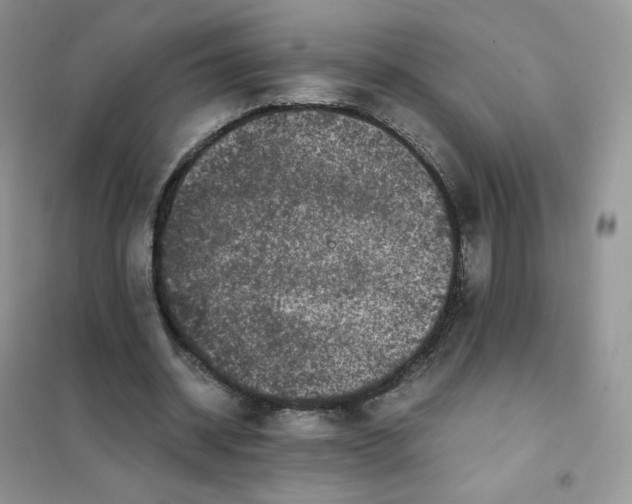 X0000102030534200808011450